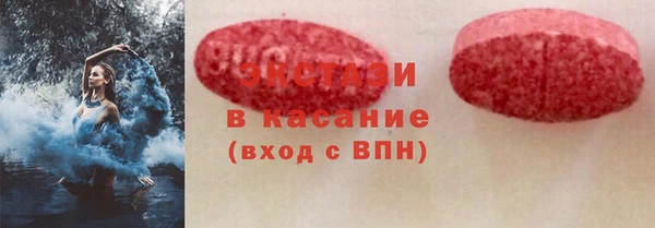 прущие грибы Гусиноозёрск