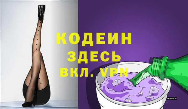 прущие грибы Гусиноозёрск