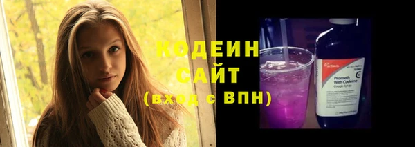 прущие грибы Гусиноозёрск