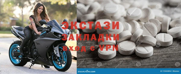 прущие грибы Гусиноозёрск