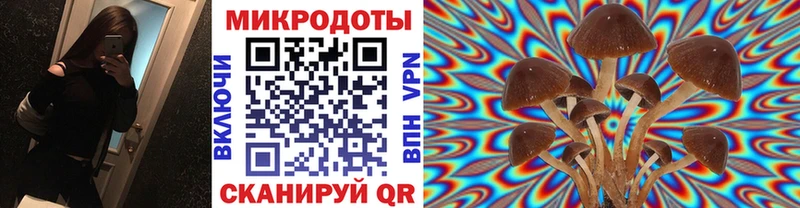Галлюциногенные грибы Psilocybe  Невель 
